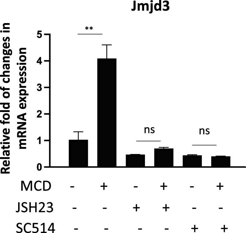 Figure 1—figure supplement 2.