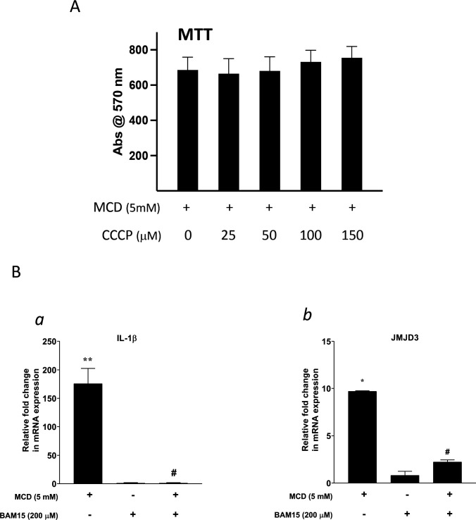 Figure 5—figure supplement 1.