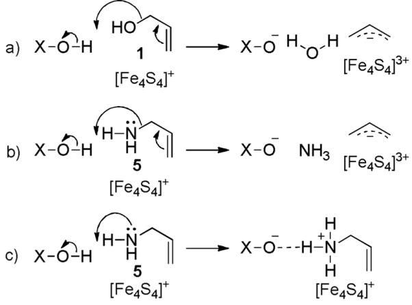 Scheme 4