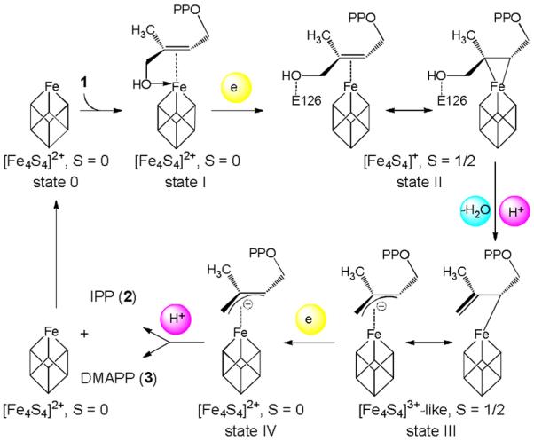 Scheme 2