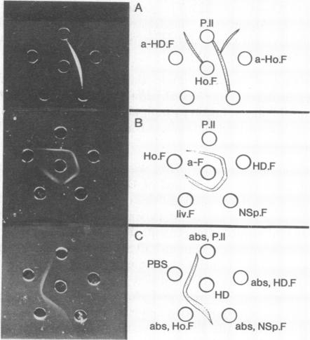 graphic file with name pnas00073-0168-b.jpg