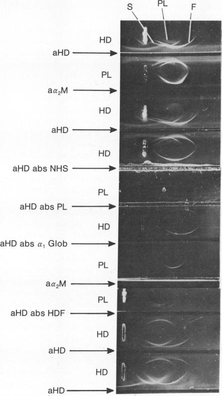 graphic file with name pnas00073-0169-a.jpg