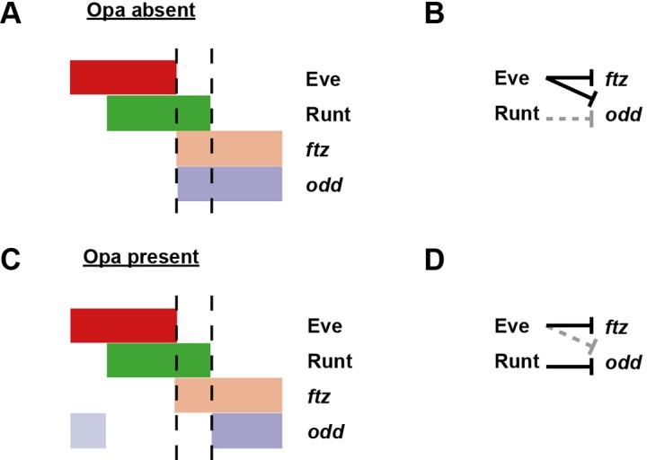 Appendix 2—figure 1—figure supplement 2.