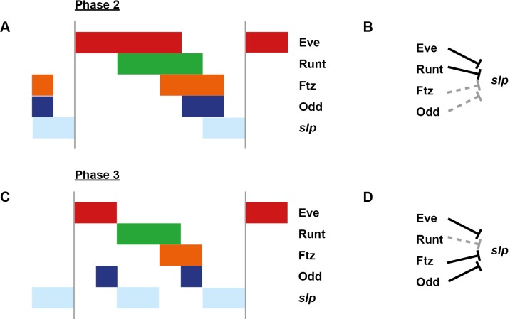 Appendix 1—figure 2—figure supplement 1.