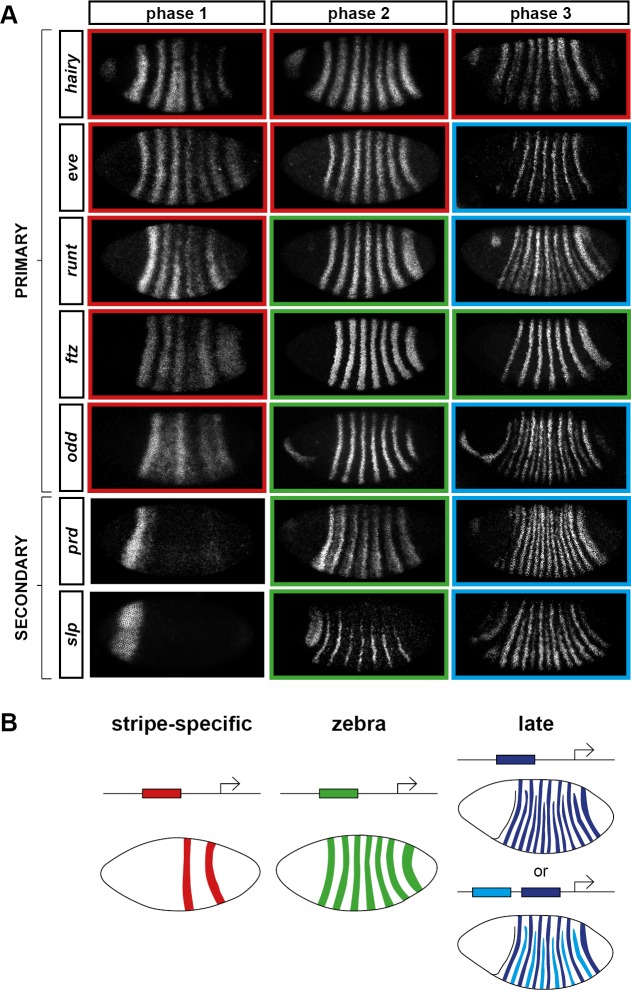 Figure 3.