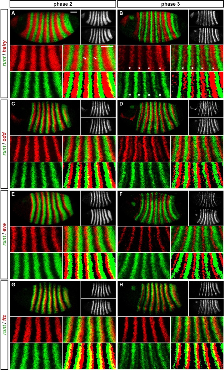 Appendix 1—figure 3.