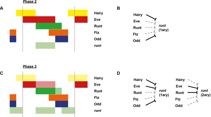 Appendix 1—figure 3—figure supplement 1.