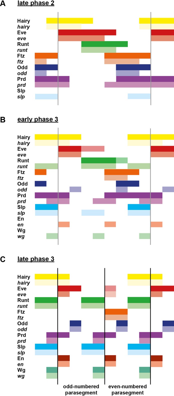 Figure 6.