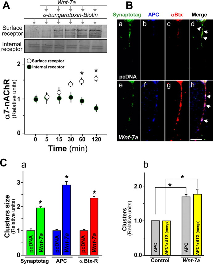 Figure 6.