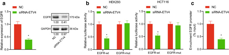Fig. 12