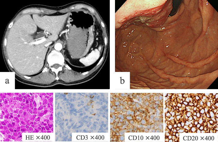 Fig. 4