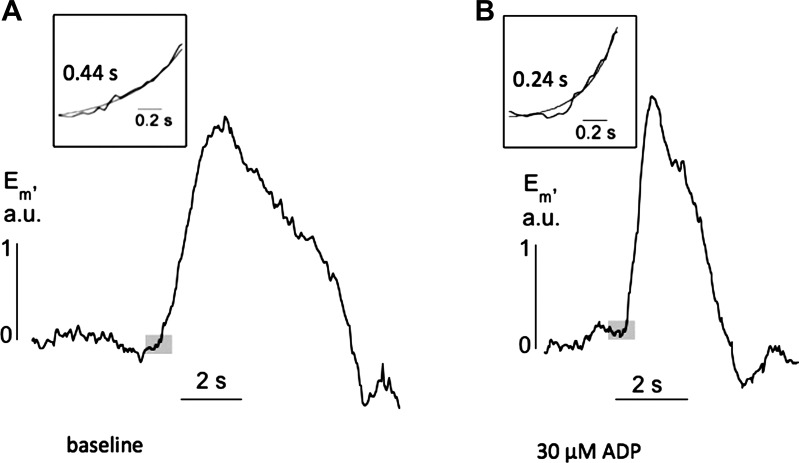 Fig. 7.