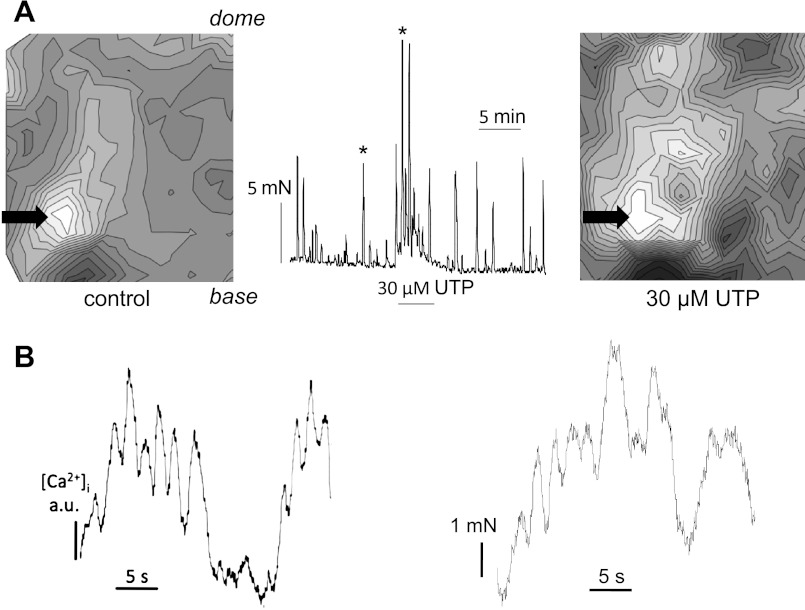 Fig. 3.