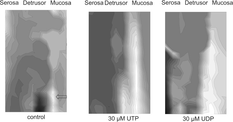 Fig. 6.