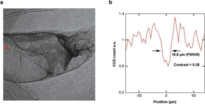 Figure 6