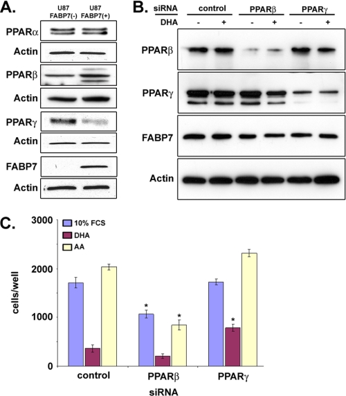 FIGURE 11.