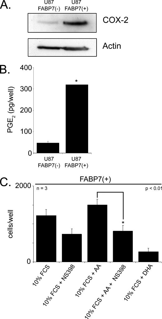 FIGURE 10.