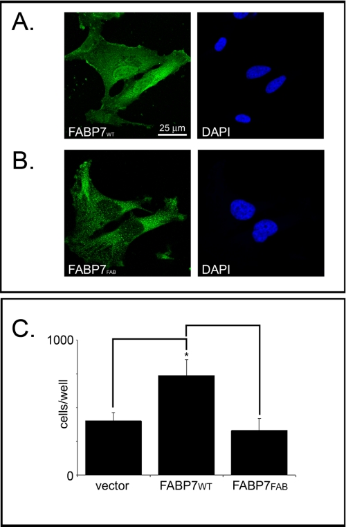 FIGURE 7.