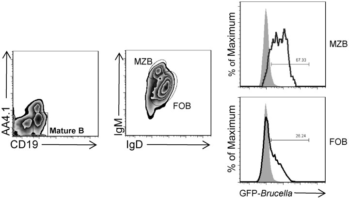Figure 4.