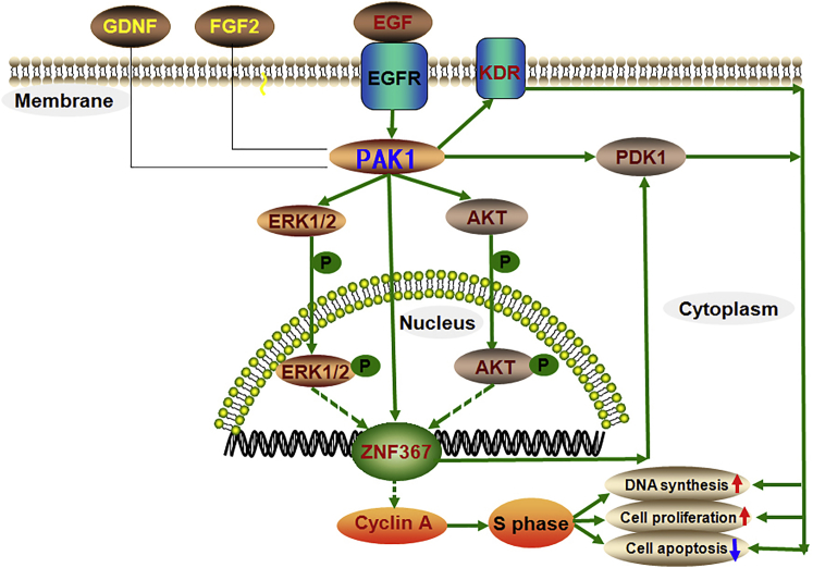 Figure 10