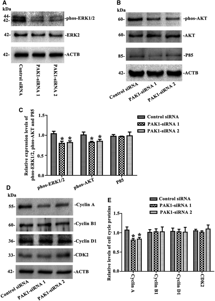 Figure 7