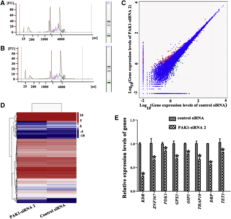 Figure 4