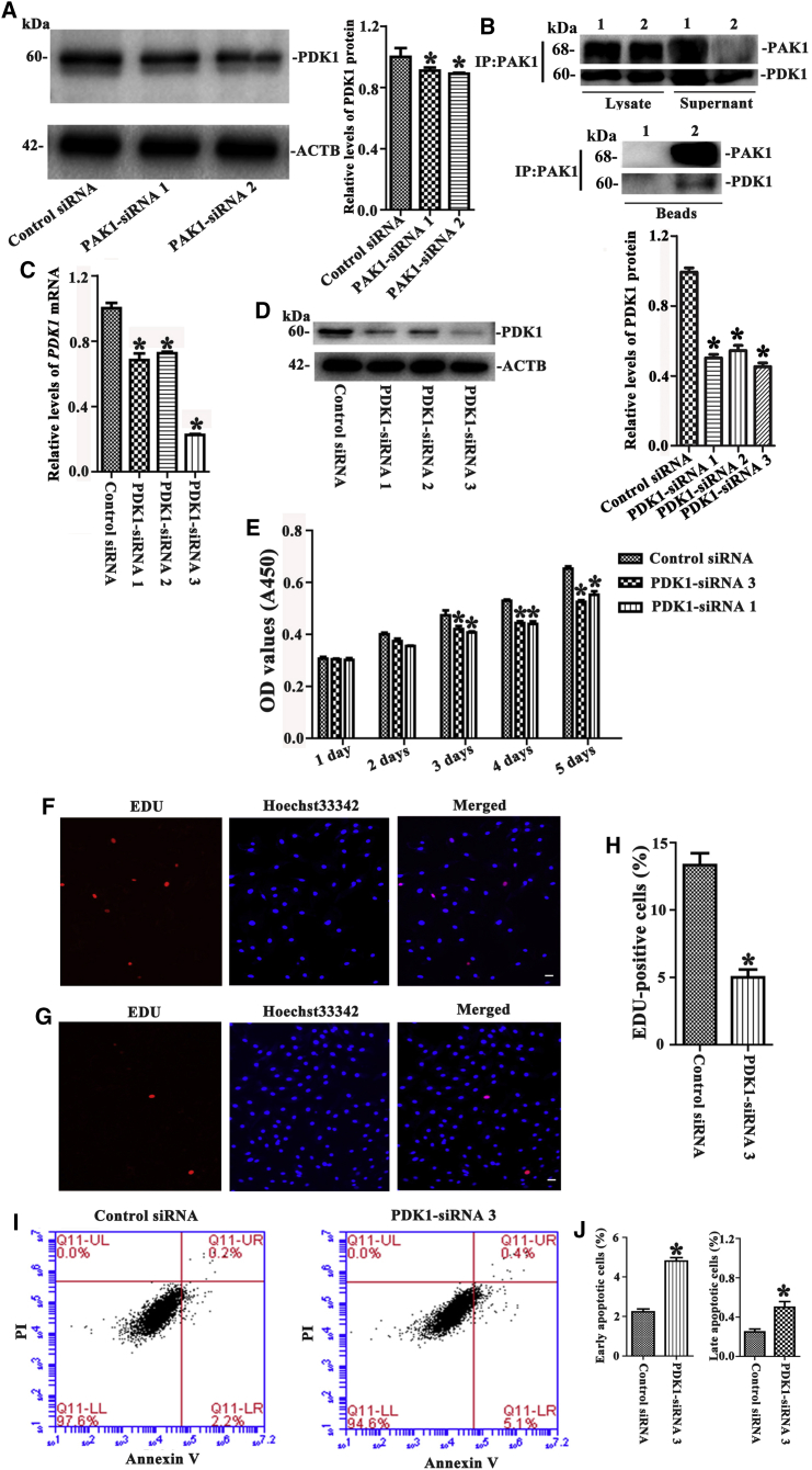 Figure 5