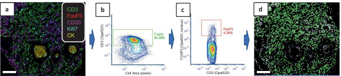 Fig. 7