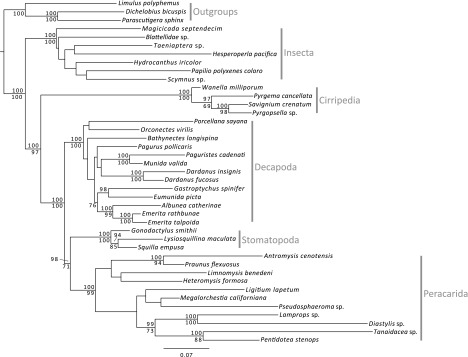 FIG. 2.—