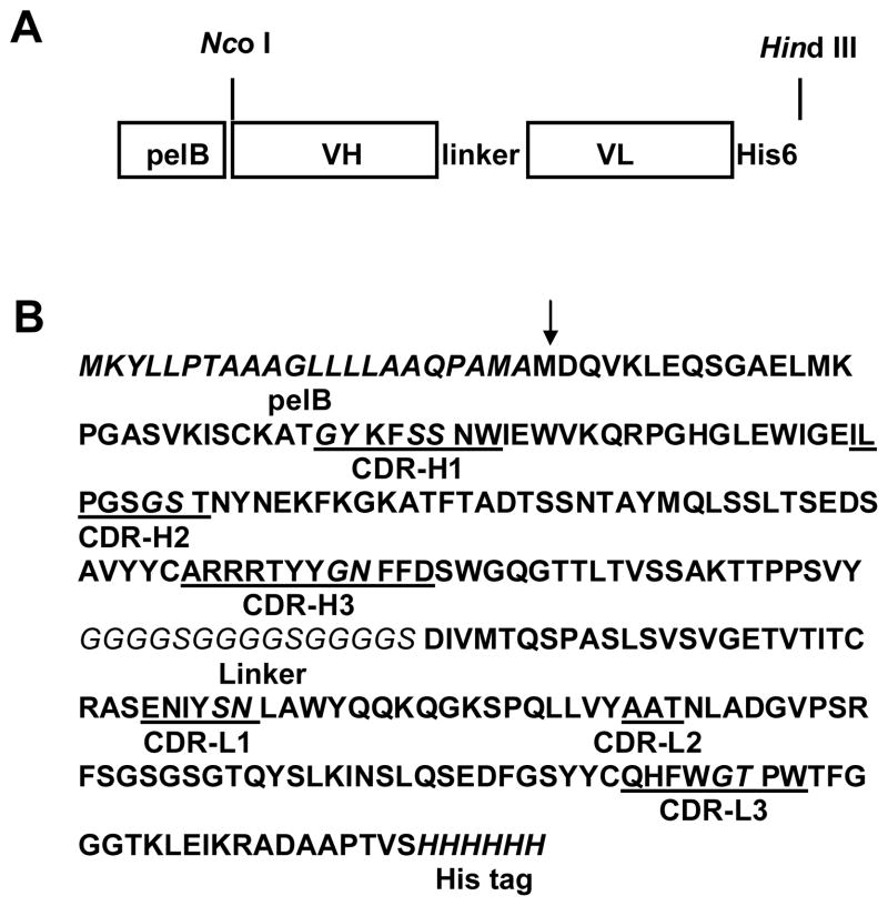 FIG. 3