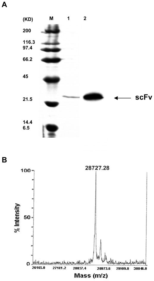 FIG. 5