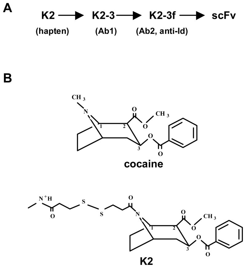 FIG. 1