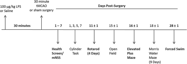 Fig. 1