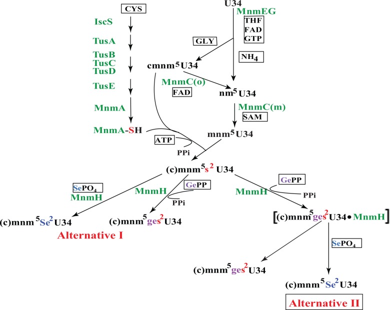 Fig 1