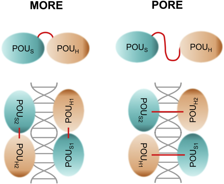 Figure 6