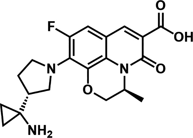 FIG 1