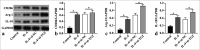 Figure 5:
