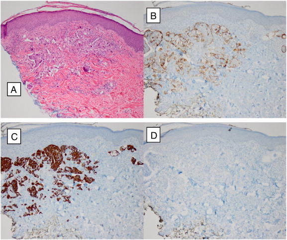 Fig. 2