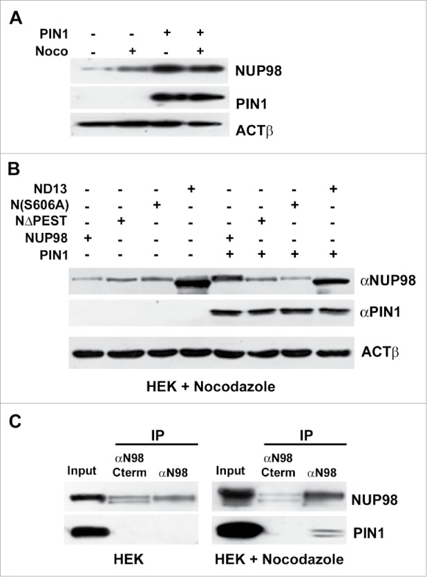 Figure 6.