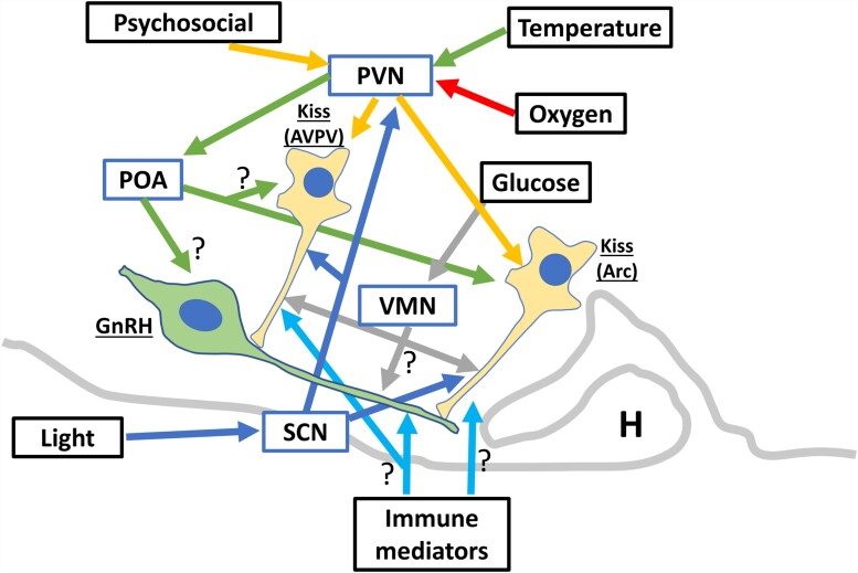 Figure 2.