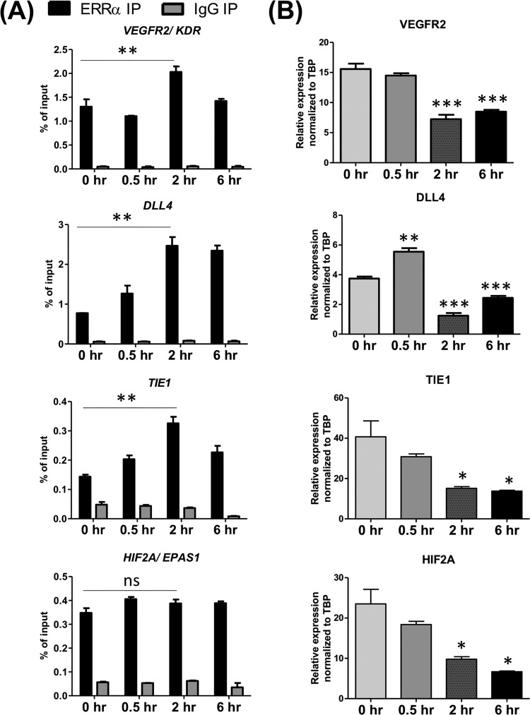 FIG 7