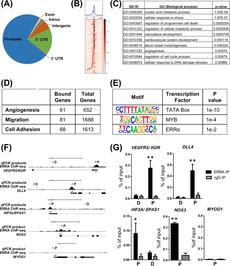 FIG 6