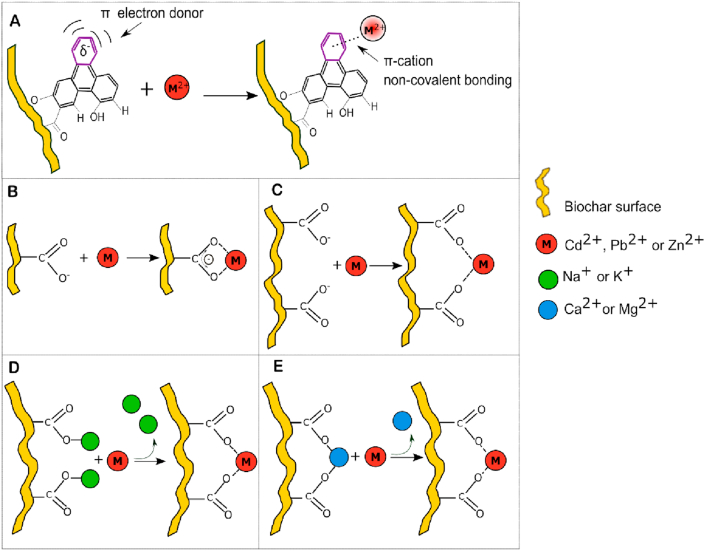 Figure 6