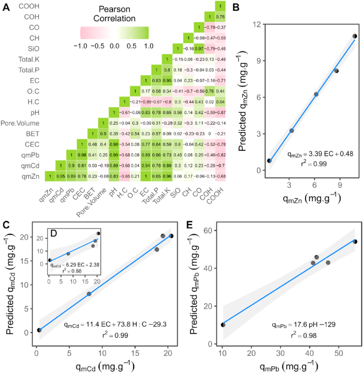 Figure 11