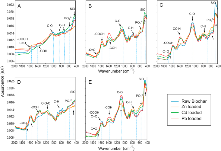 Figure 5