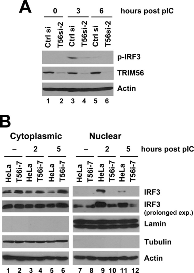 FIGURE 7.