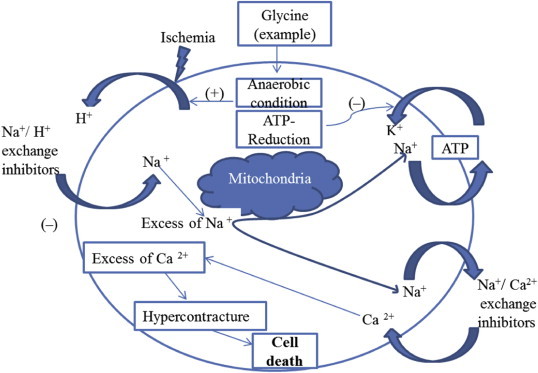 Fig. 1