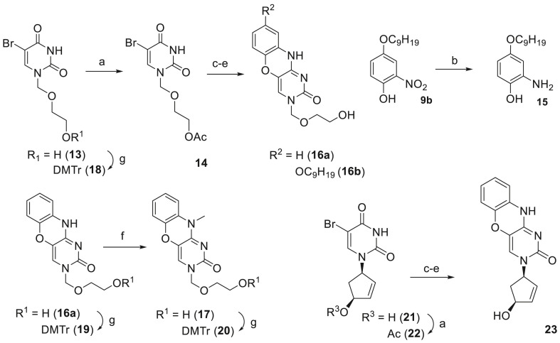 Scheme 2
