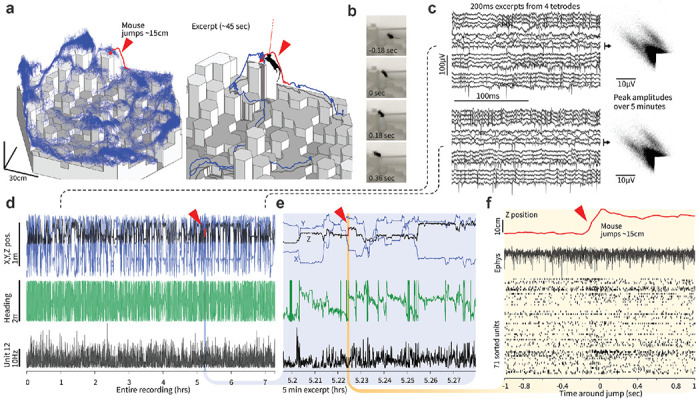 Figure 3: