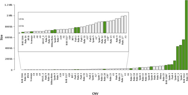 Figure 3